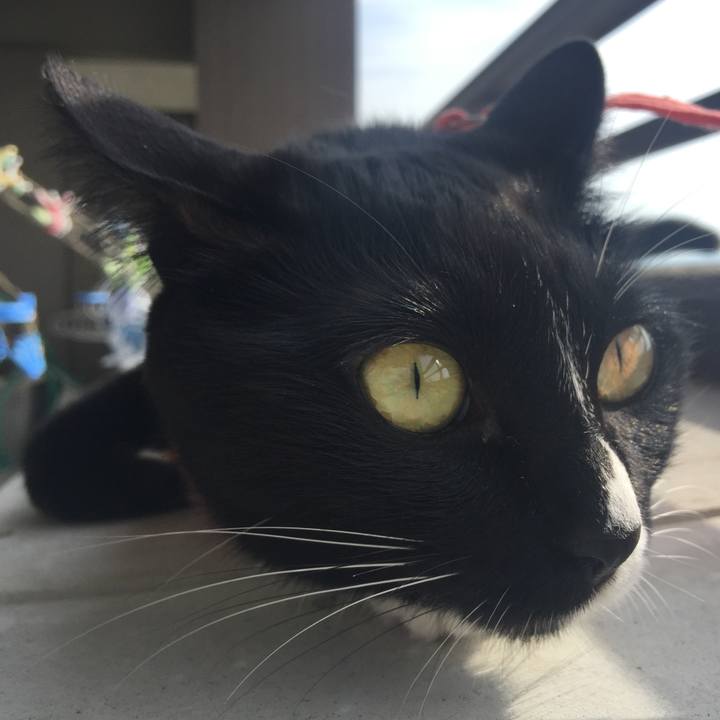 4fe88de2 1e0d 40ef bede aba271da50e6