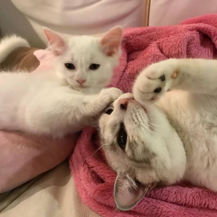 4fe8ea66 b084 4c5f 8ce8 87d042e66393