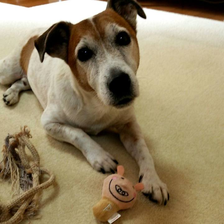 4fe94f74 c0bd 4b33 9506 350692ce5347