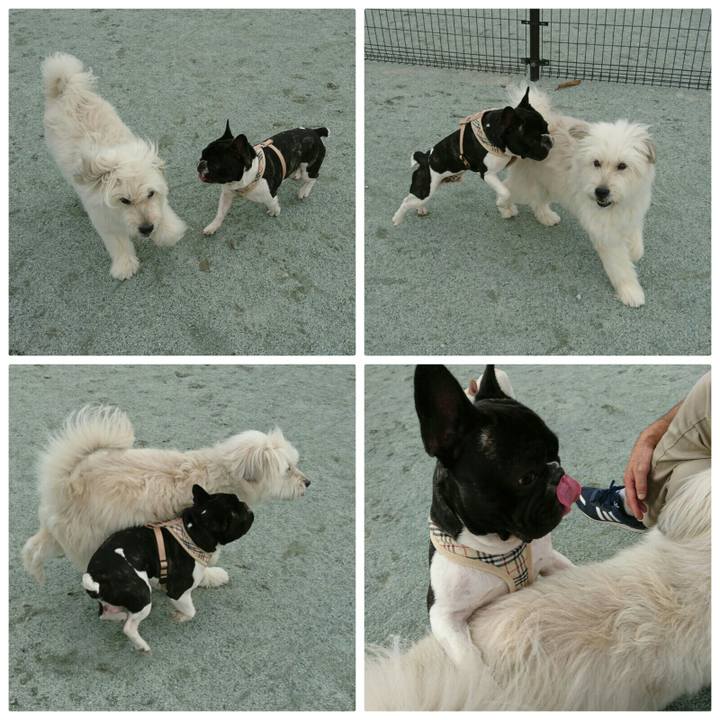 4fe992d8 6a79 4a18 a543 ef2a2d8f3b4b