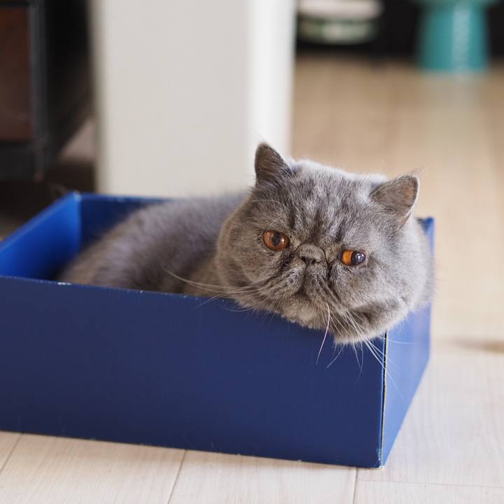 4fe998f8 b26c 4f13 9581 f0fb046a30ee