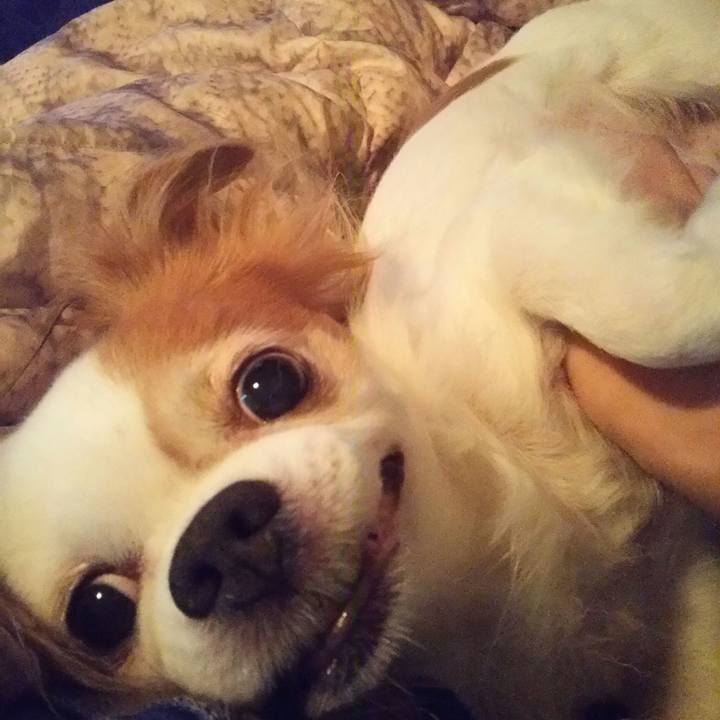 4fe9d018 29cd 46e1 a553 932c2a6f6a3a