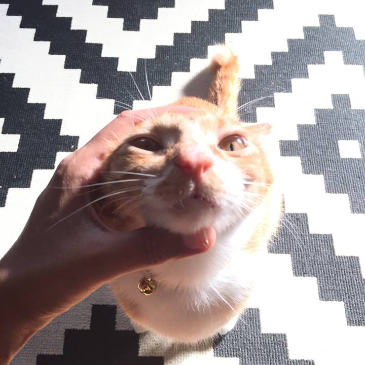 4feaafea 4e80 48b9 a444 b56d0cbfeff0