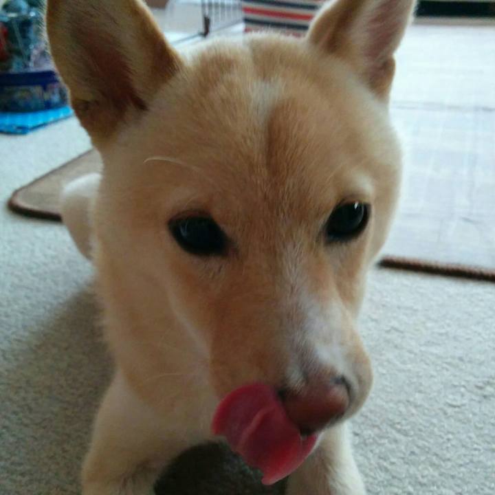 4febe1d8 c780 4f7a 817a 0e4b558095b9