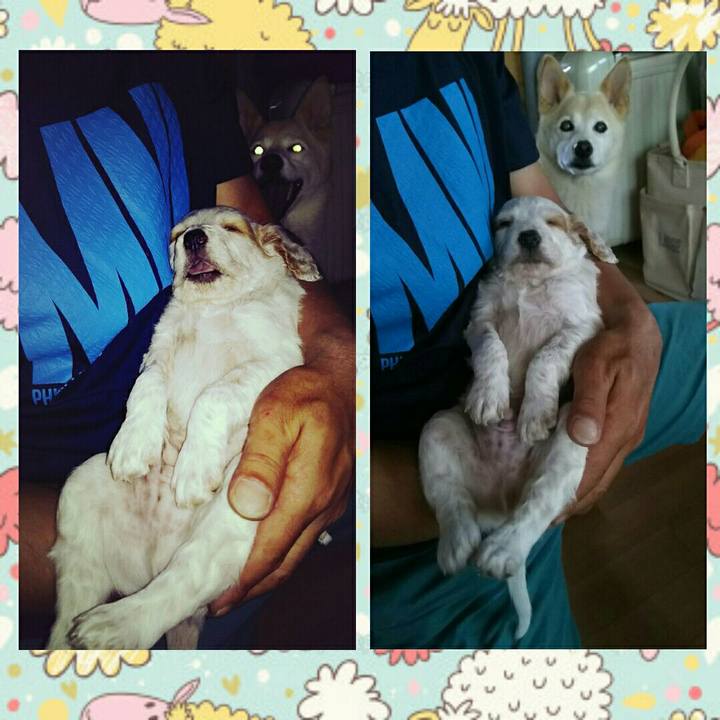 4fec8a6b 9831 4842 8cc2 b8f3c9ae24f4