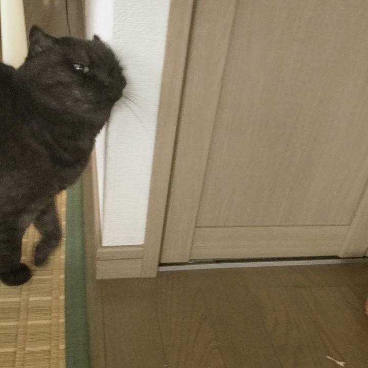 4fecc2cb dd2a 4c66 b55b 7c83269096ac