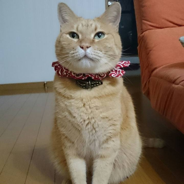 4fecd409 2fc6 483c 9b7a 67777acbe182