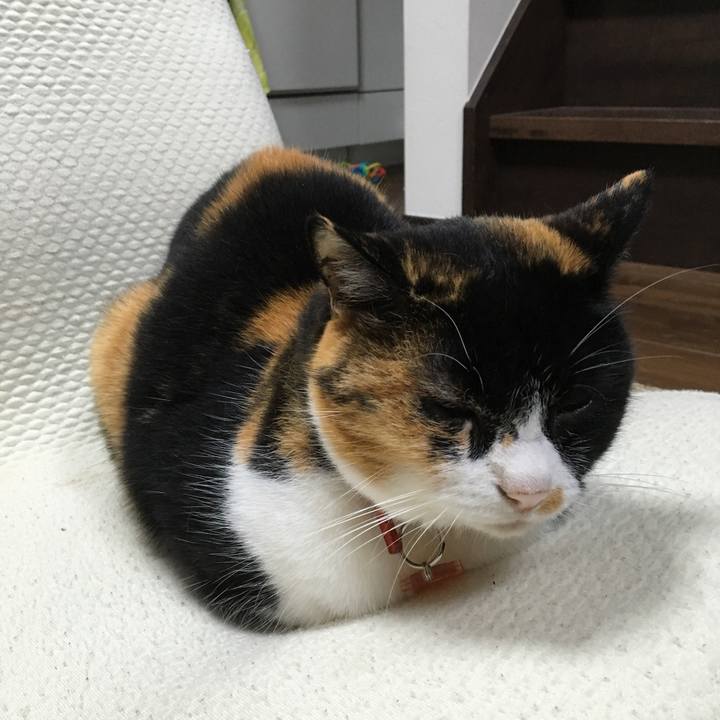 4fecfa43 2d74 4e9a b822 c32363f21bef