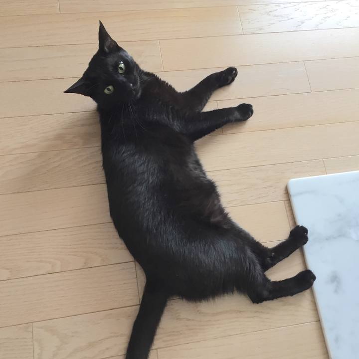 4fed567a 54d7 4a9c a133 75cdce2c0456