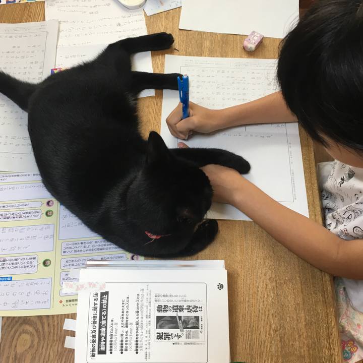 4fed6125 663d 472f b01e f8f873ff555e