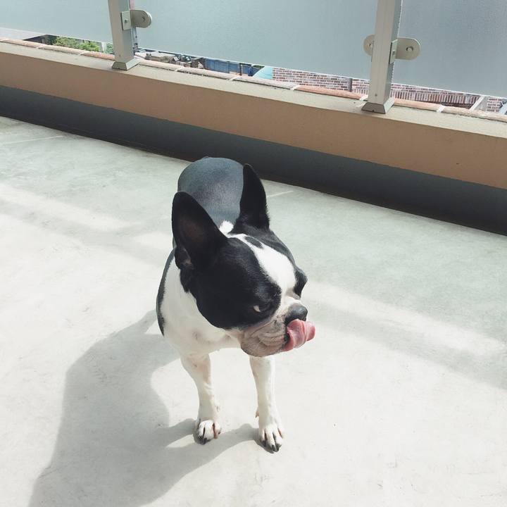 4fedc870 b1a4 4cd7 9a6a 40a2066dec06