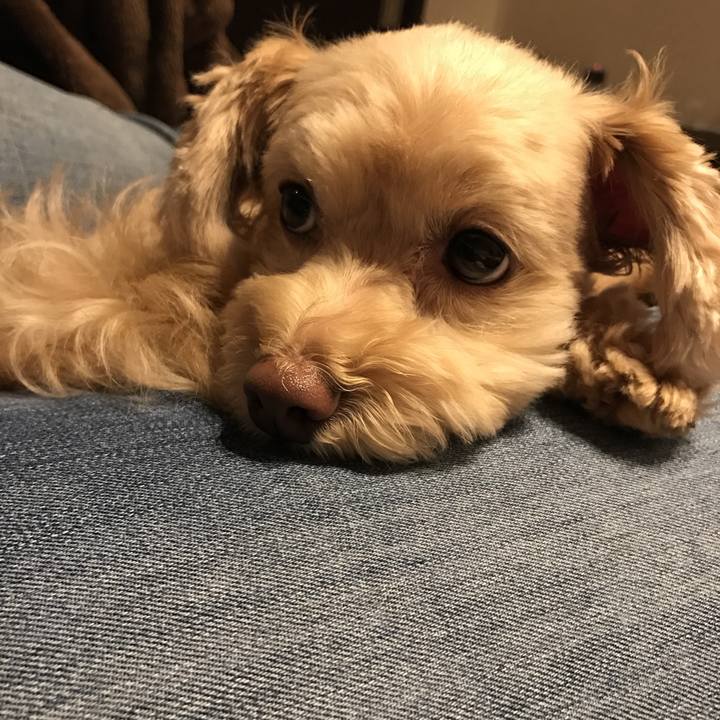 4fee3189 bee1 4327 b02c a6c67b141246