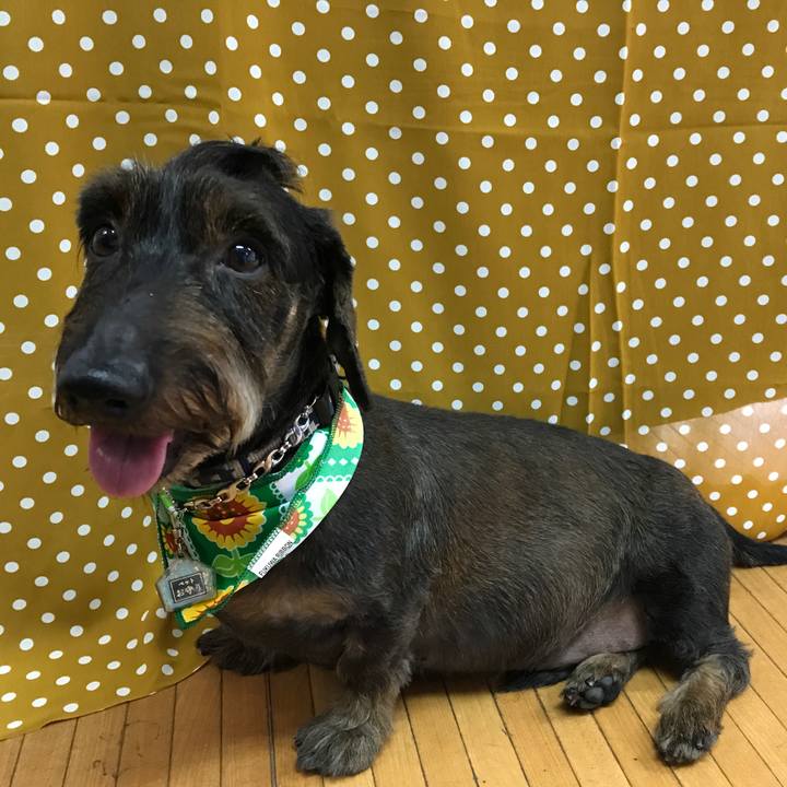 4fee5aa7 0ae1 45ab 80d3 3e7d567dc95f