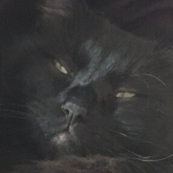 4feec691 d435 442d a25b 576994cf79c2