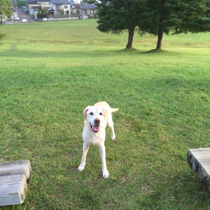 4fef1d08 ce9a 4008 b212 6a5ef35147ca