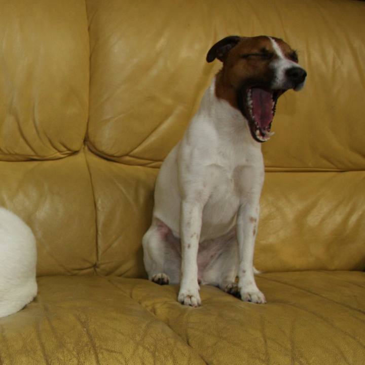 4fef3834 db8a 4cdf bc98 c0b01b183832