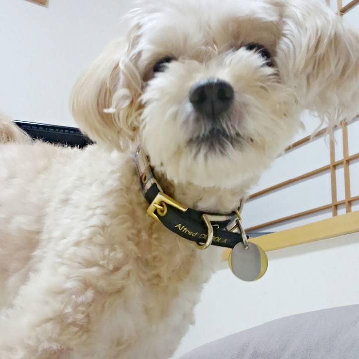 4fef9455 78aa 49f6 9a14 886d0cba6d5d