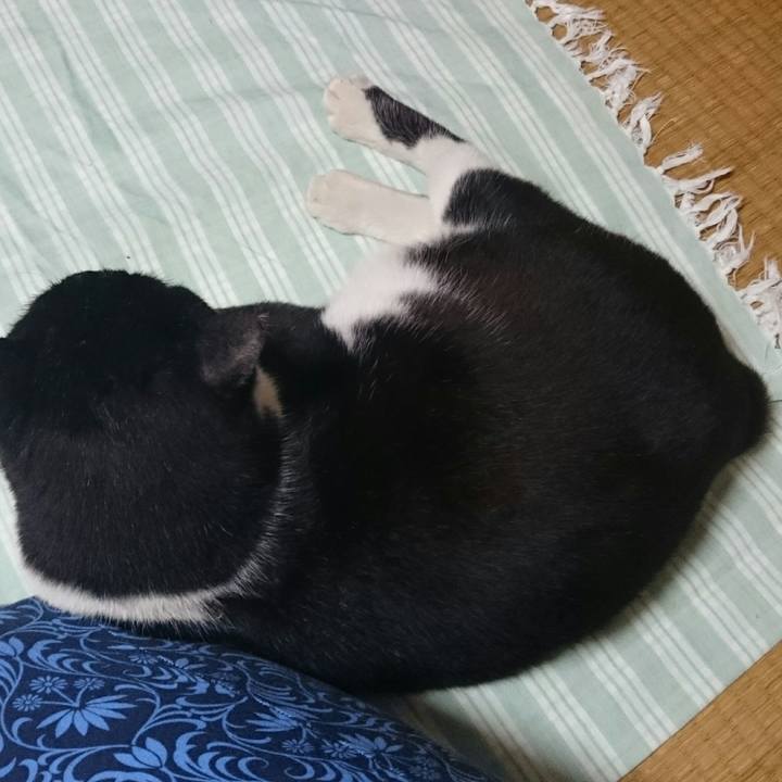 4feffcc1 fbd2 4479 b854 7d934d88fec0