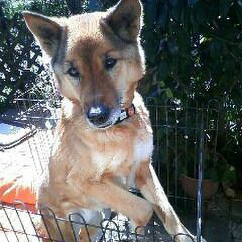 4ff110af b727 4993 9b68 5d0e23af7847