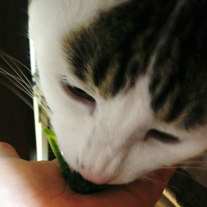 4ff1392a 8ea2 4943 a813 5d72a6e7addd