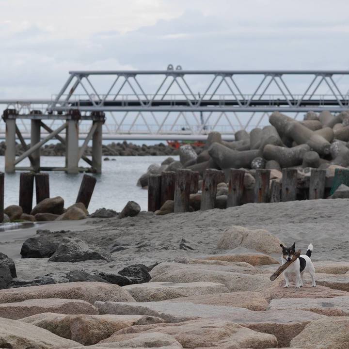 4ff1468f 41a6 41ce b2a3 65ebdde7ff06