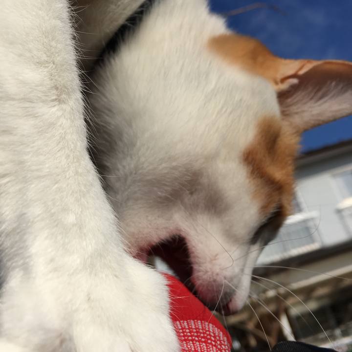 4ff1baef 88d1 457d aa2e 0186d196eb47