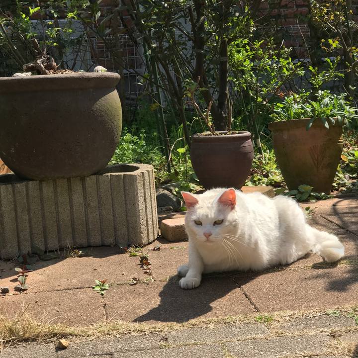 4ff1bb51 324e 4cb3 ae77 6dec7a0eb5bd