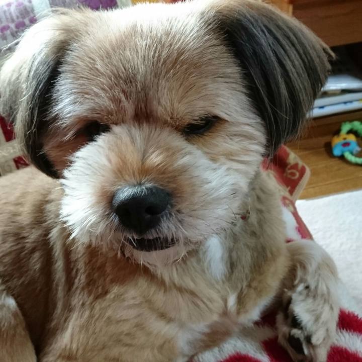 4ff1ea88 fbcc 4bb5 b68b 4d3127ebc30d