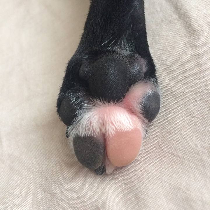 4ff1f350 91be 4c28 bc62 31e314fa3a1b