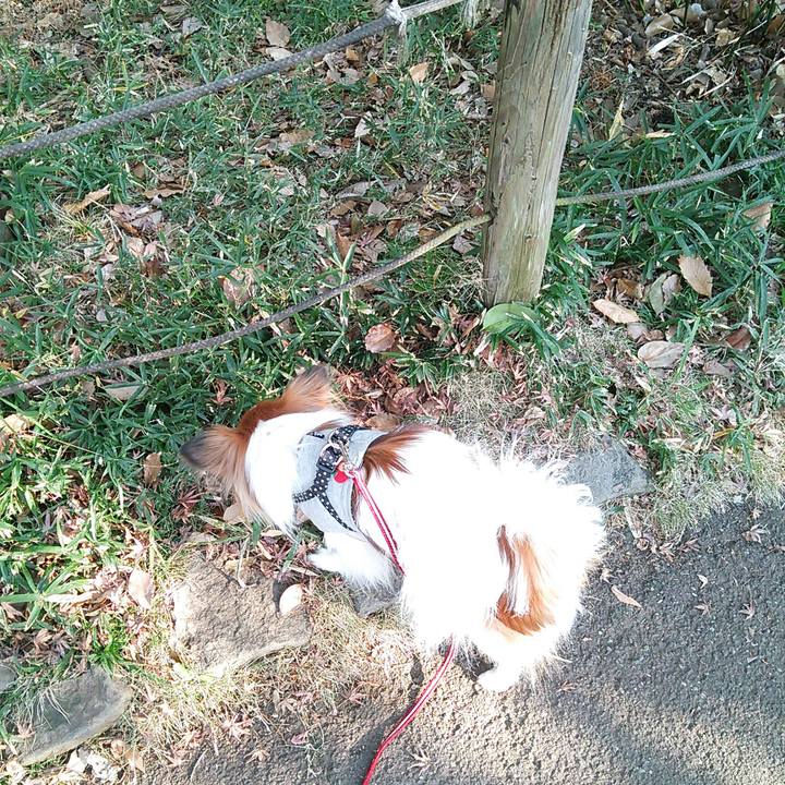 4ff215ca 6753 45b6 9109 9e0a62be49fa