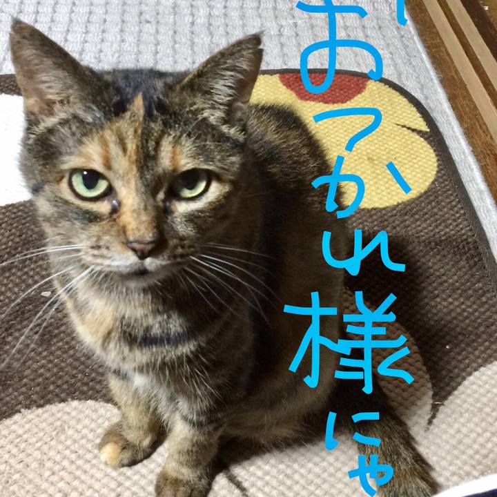 4ff273bc 49e1 43a8 9579 c5059c239262