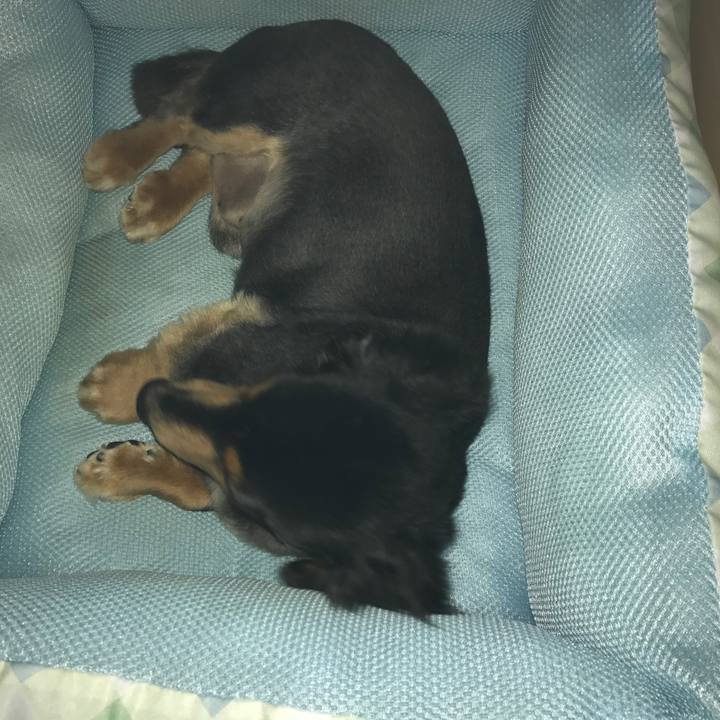 4ff3954a 71fa 4807 bc89 7797e73480f0