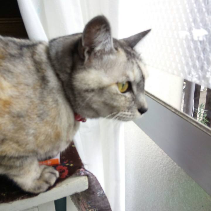 4ff40df8 d265 485b 8961 9a235d2016f9