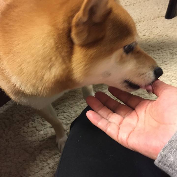 4ff4aa44 f35f 48ce a599 8a62e1eb30a2