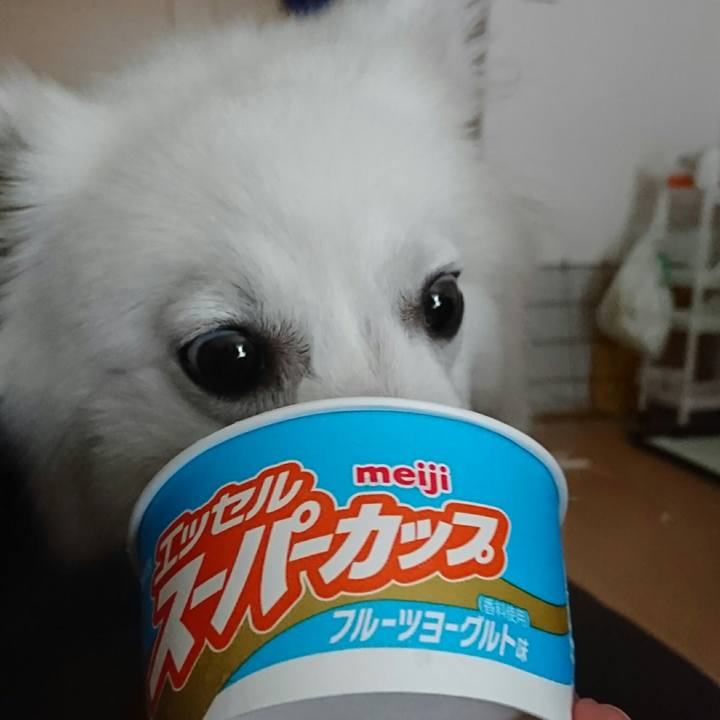 4ff4d327 ac40 42bd 8f12 48acf9d22bb9