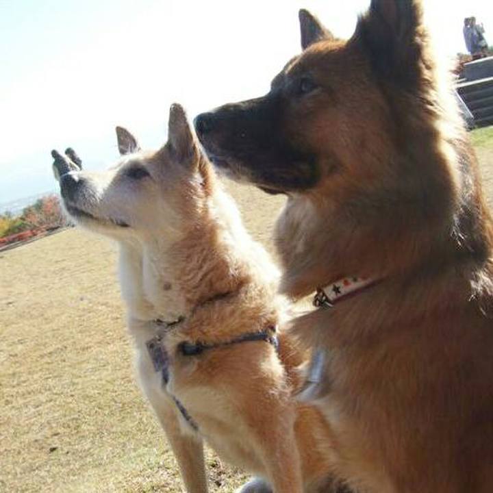 4ff4f204 3325 4b52 8dff f34ff9590ddc