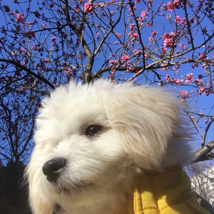 4ff59b69 324e 46fe 9c13 44bd561602c3