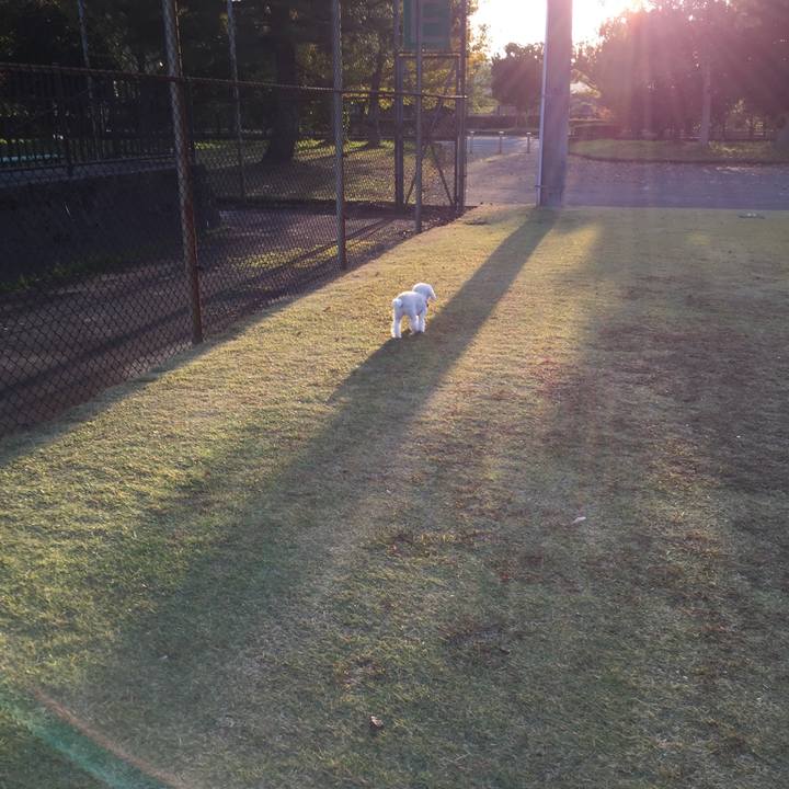 4ff5ab01 f509 498d 9f2b 399818b2e55a