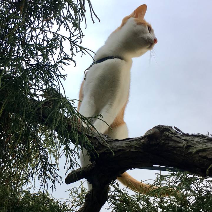 4ff5abcb 9cdb 4dd0 83d8 ccbdb0207721