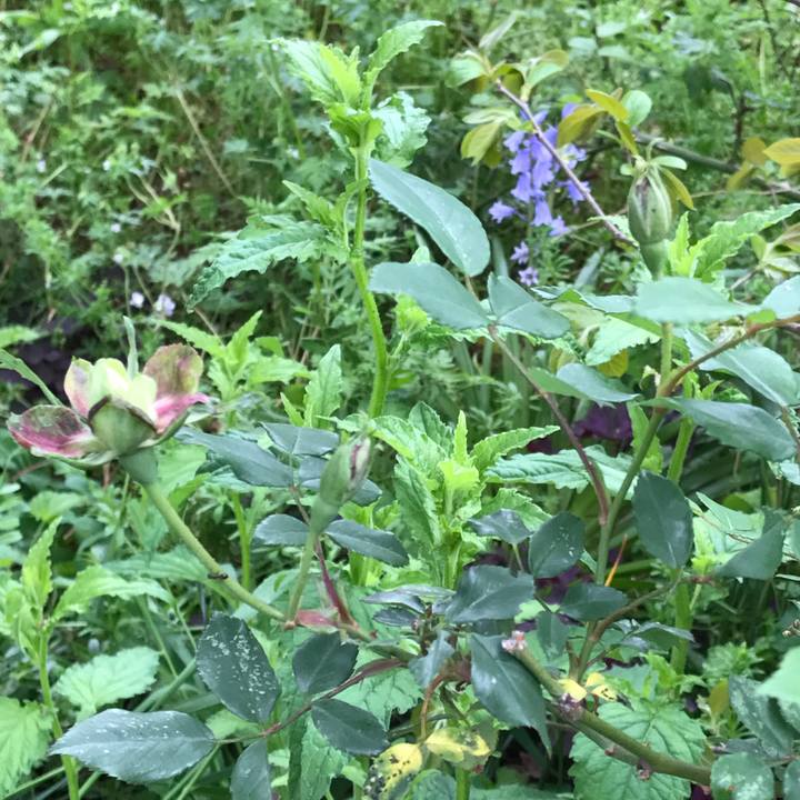 4ff5cc84 fc80 47aa 94ce 2d51675418ac