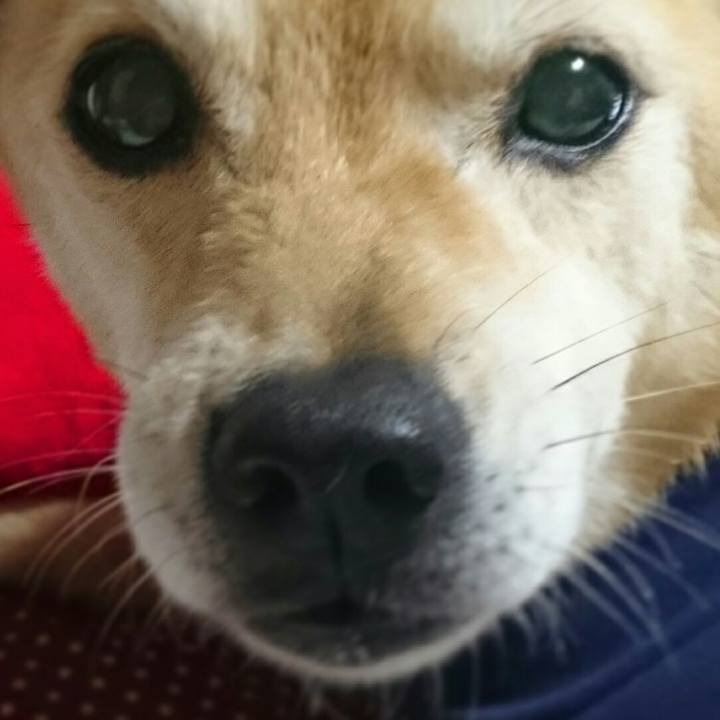 4ff67ff7 3396 41f4 be1a 16edfb5f701f