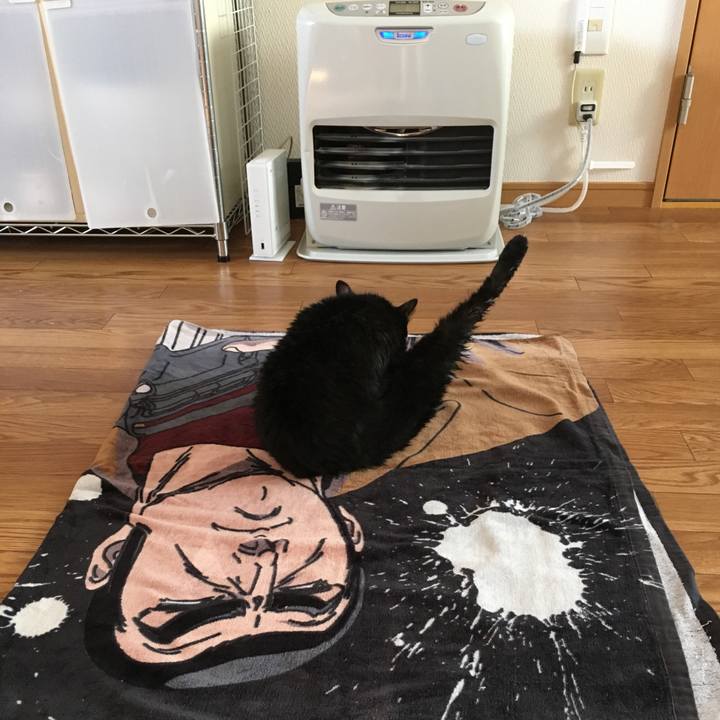 4ff71c84 858b 43d1 9543 4ec90a60aa52