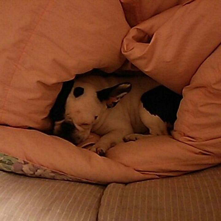 4ff73c08 7cec 4177 8775 ad56e7432974