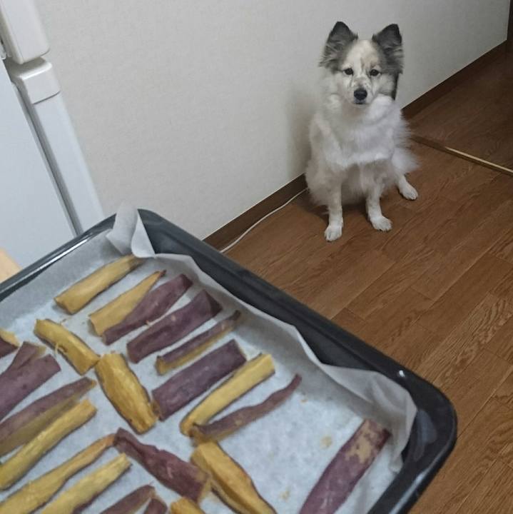 4ff78bc8 5ab8 4829 9842 8ec5d0c96654