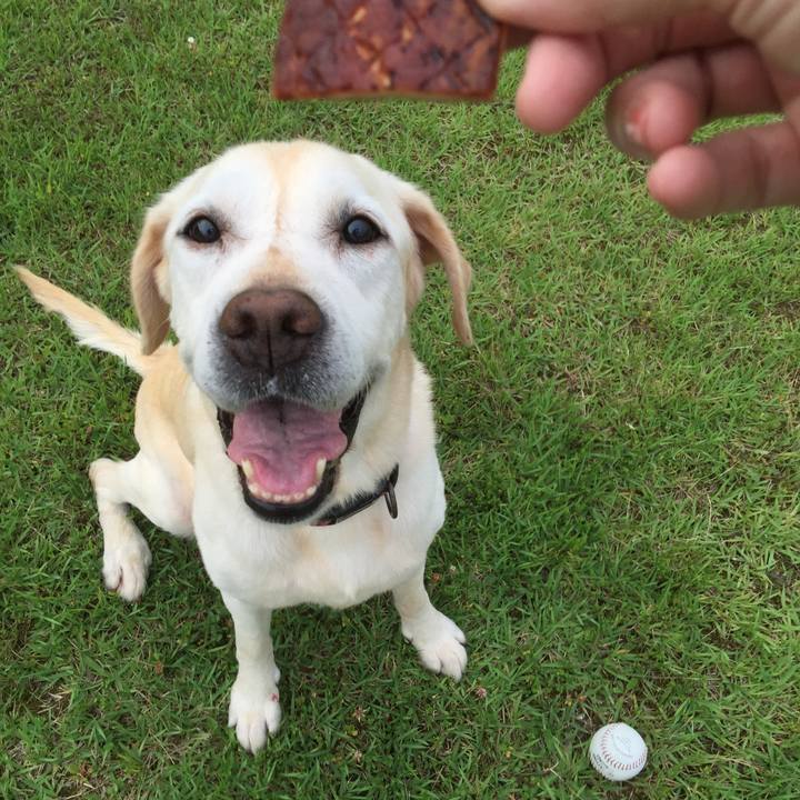 4ff852cb 8922 440d a030 2806ddb0e6ad