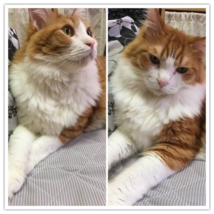 4ff8d830 9ecb 4f49 bb04 a22bfe16539d