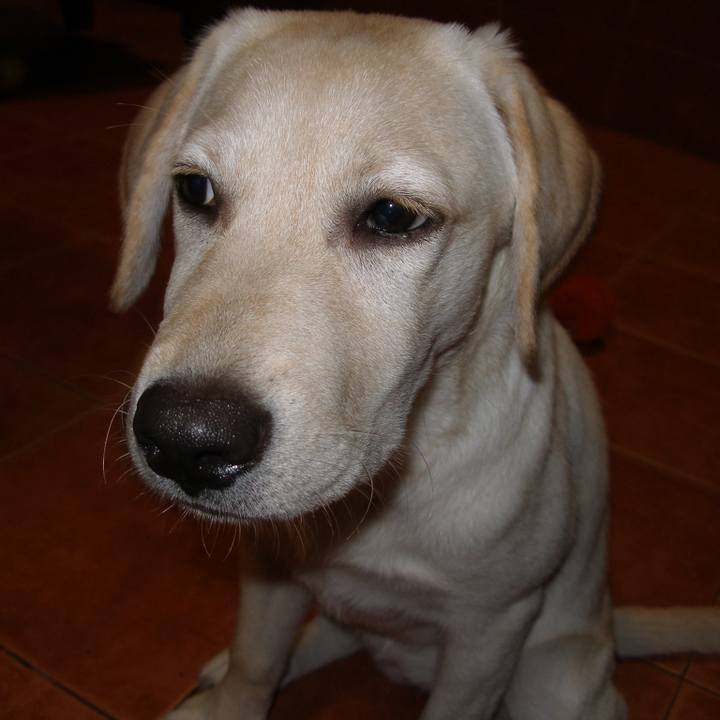 4ff8f950 7be3 4143 bf36 df27694de973