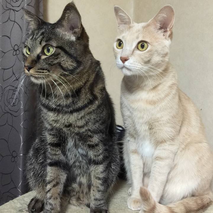 4ff90867 5018 4038 a91a 995afed2dd75