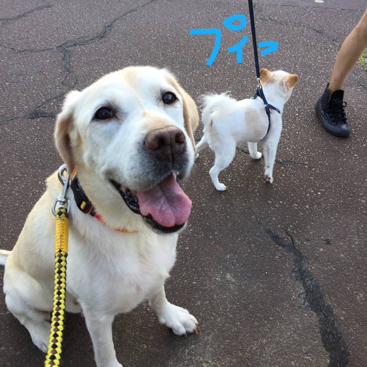 4ff9e4fb 8f8a 43ea 8c68 26a46e177a94