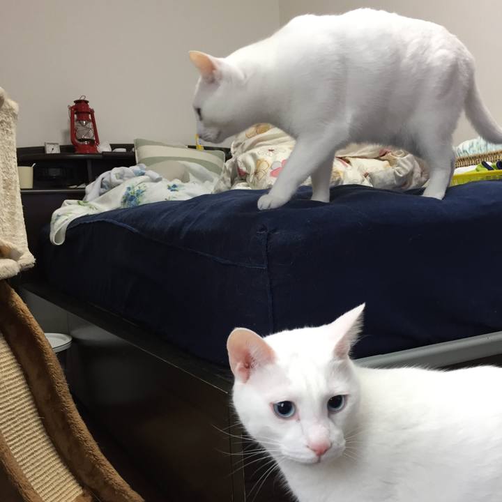 4ffa35e7 3f24 415d 8e6a ed4b3ead68d0